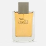 Excellence Eau de Toilette 100ml luxury unisex fragrance bottle with amber and citrus notes