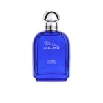 Evolution Eau de Toilette 100ml by Brandatt in elegant glass bottle with woody aromatic notes ##