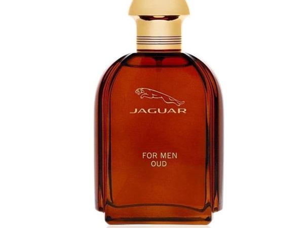Oud Eau De Parfum 100ml bottle luxury Arabian fragrance with genuine agarwood
