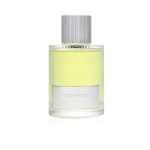 Tom Ford Beau De Jour EDP 100ml luxury men's cologne with lavender and woody notes