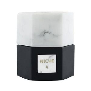 Niche 4 Luxury Oriental Oud Perfume 100ml Bottle with Elegant Gold Packaging