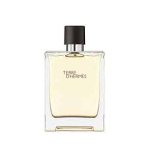 Hermes Terre d'Hermes EDT 100ml luxury men's fragrance bottle with orange and vetiver notes